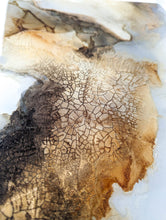 Load image into Gallery viewer, New Dawn 1