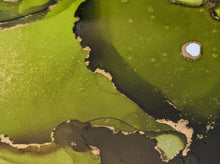 Load image into Gallery viewer, Green and gold alcohol ink original artwork