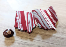 Load image into Gallery viewer, Ohio State coasters
